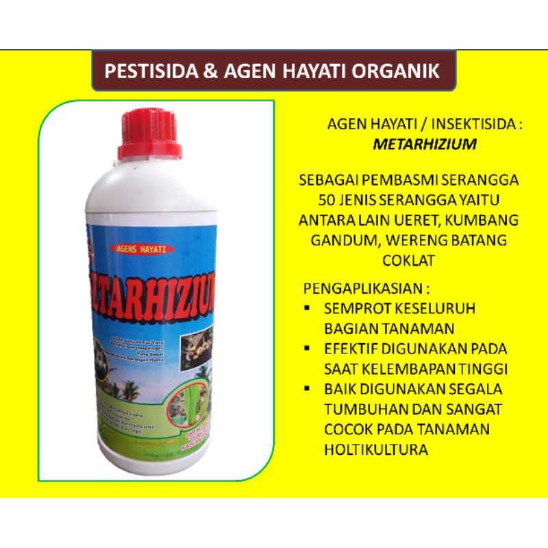 Jual Metarizium Agen Hayati Pestisida Organik Pesnab Indonesia|Shopee  Indonesia