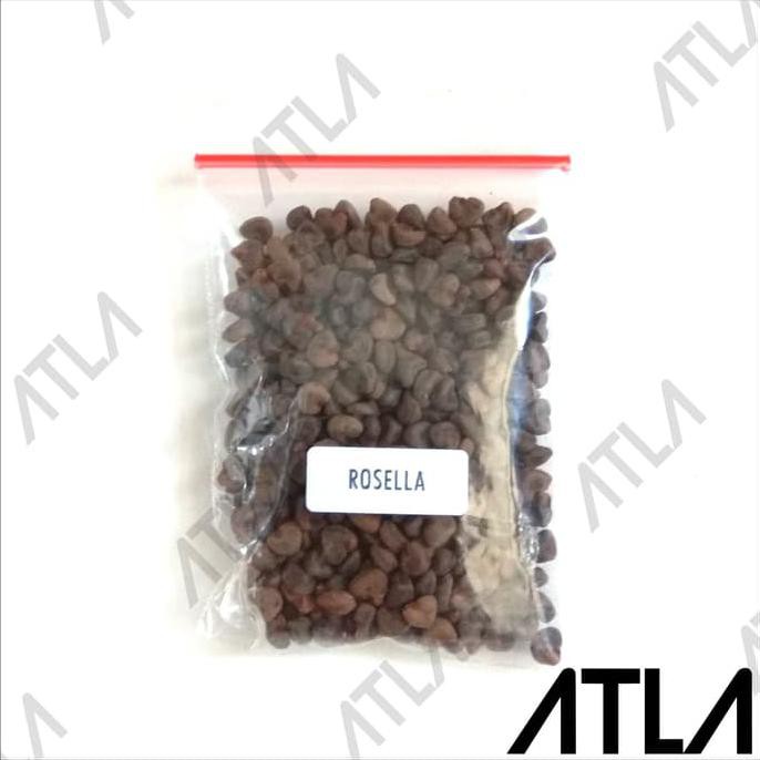 Benih Bunga Rosella Ungu 10 Gram Bibit Tanaman Biji Teh Herbal Rosela