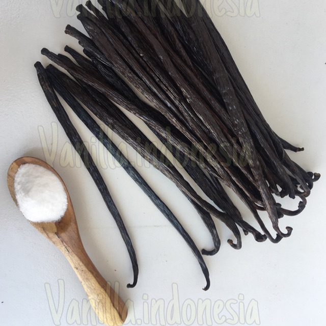 Jual Gourmet Vanilla Bean / Vanili Planifolia ( Madagaskar ) Premium 20