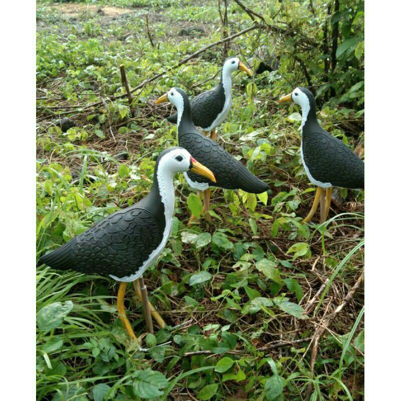 Jual Patung Ruak - Ruak Pemikat Indonesia|Shopee Indonesia 800_x_800_jpg