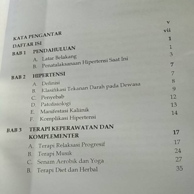 Laporan Pendahuluan Hipertensi Nanda Nic Noc Cari Pembahasannya