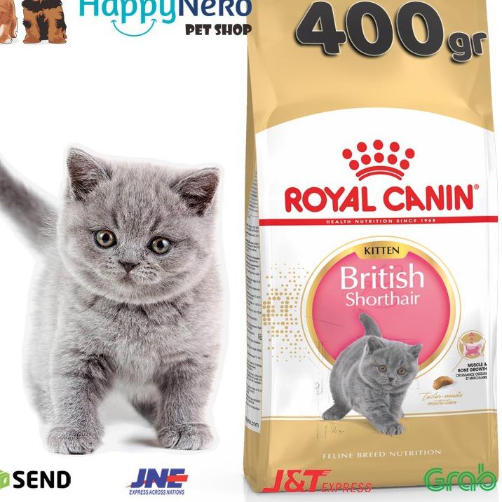 Jual Murah ROYAL CANIN KITTEN BRITISH SHORTHAIR 400GR PACK MAKANAN