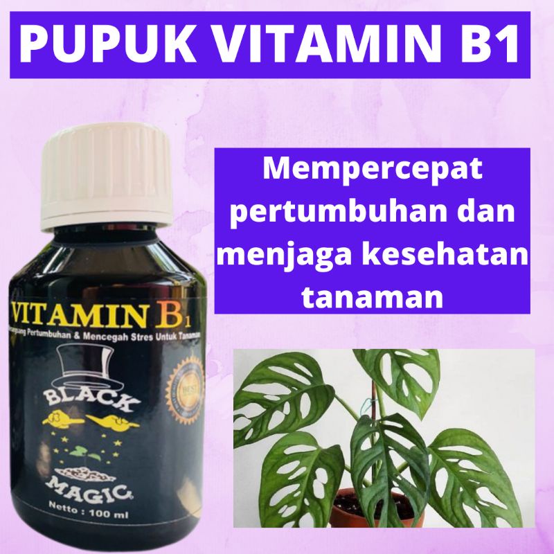 Jual Vitamin B1 Tanaman Agar Cepat Berbunga, Vitamin B1 Untuk Semua