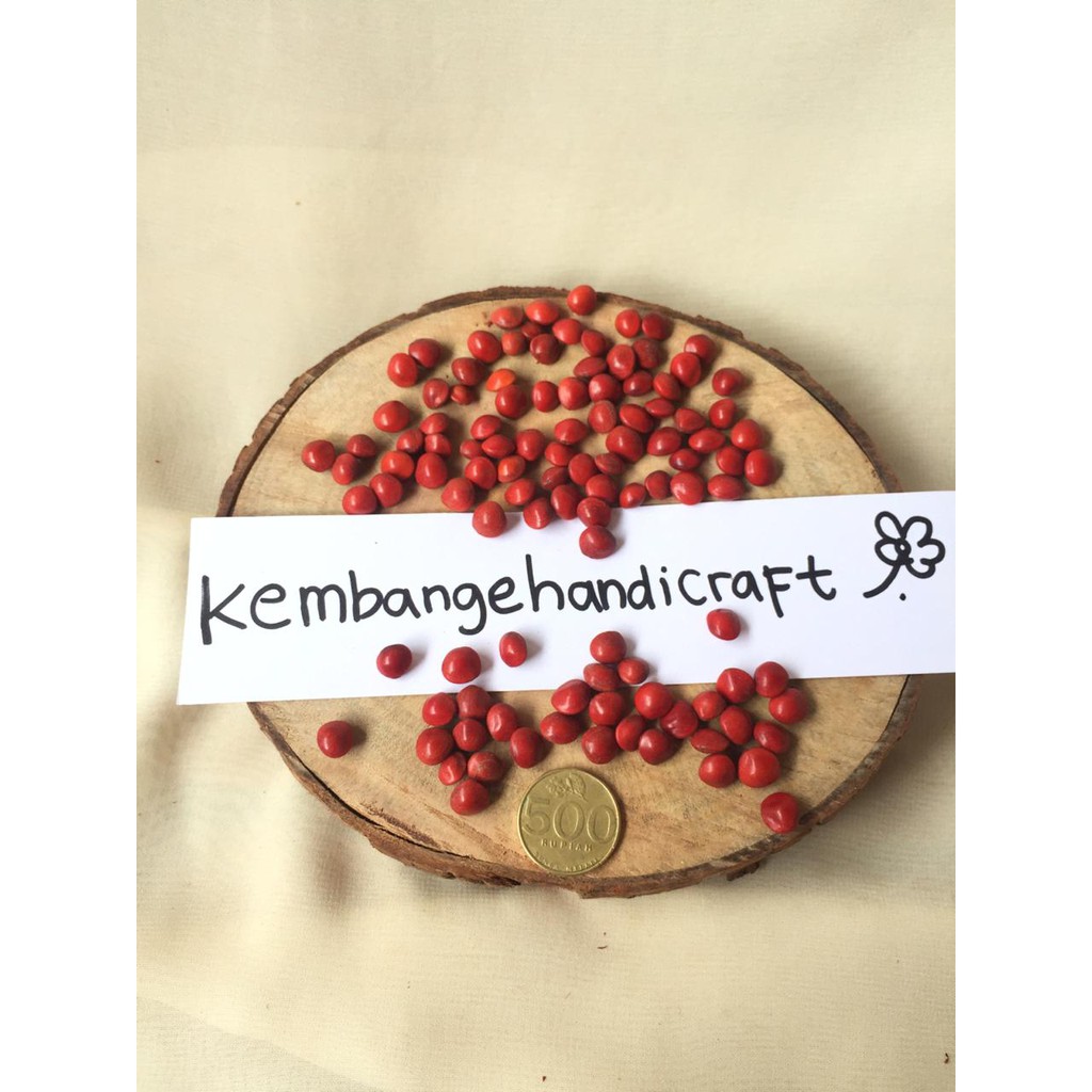 100gr (+-350pcs) BIJI SAGA BAHAN KERAJINAN ALAM KOLASE HIASAN PIGURA MAHAR  | Shopee Indonesia