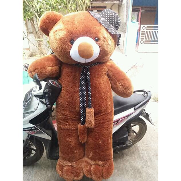 Jual Boneka Besar Beruang Teddy Bear Super Jumbo - Coklat (1.5 Meter) | Shopee Indonesia