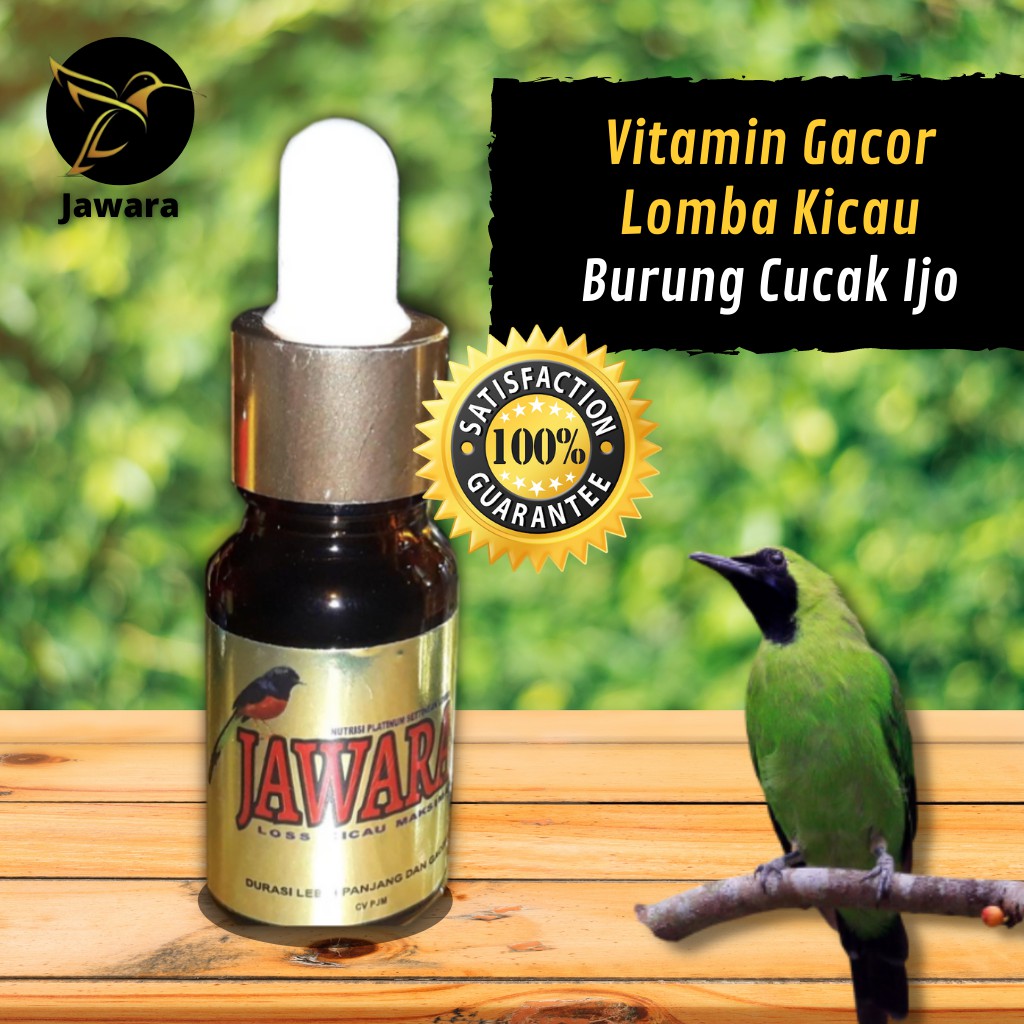 Jual Vitamin Burung, Nutrisi, Suplemen Burung Gacor , khusus Untuk Lomba Kicau  Burung Cucak Ijo Indonesia|Shopee Indonesia