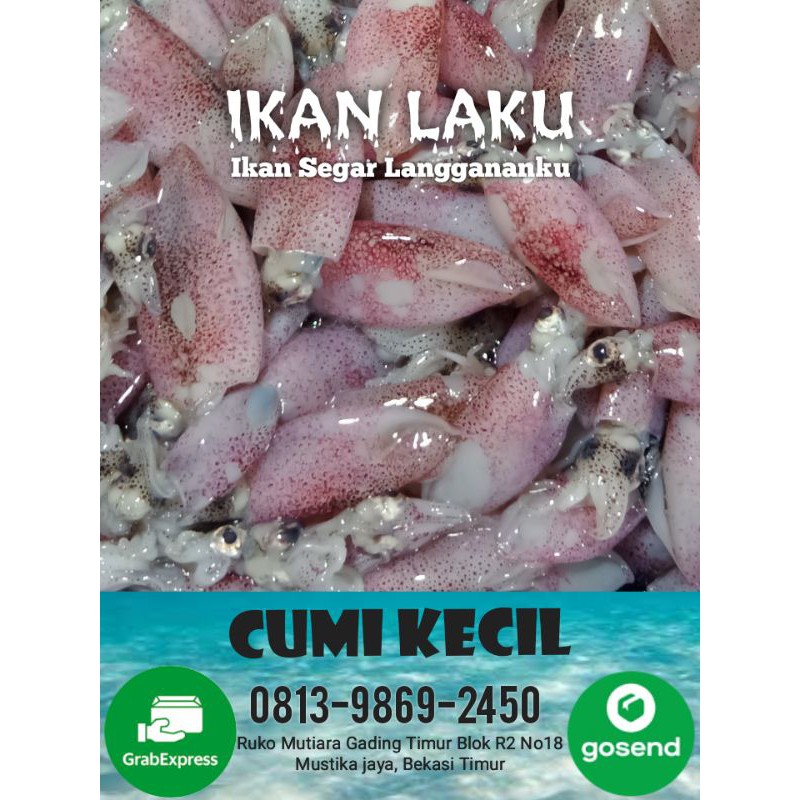 CUMI CUMI SEGAR 1KILO 49.900 TERMURAH FRESH &amp; FROZEN | Shopee Indonesia