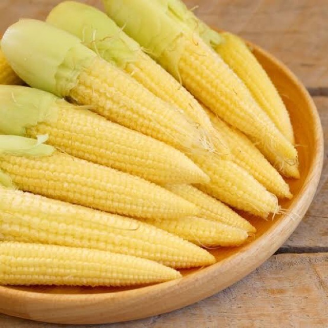 Jagung Muda/Putren (Baby Corn) 250 gram sayur curah Shopee Indonesia
