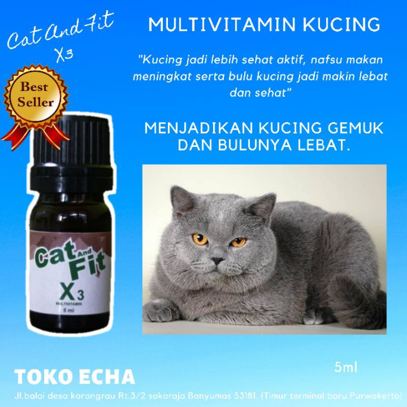 MULTIVITAMIN CAT AND FIT X3 KUCING AGAR NAFSU MAKAN DAN MENAMBAH BERAT