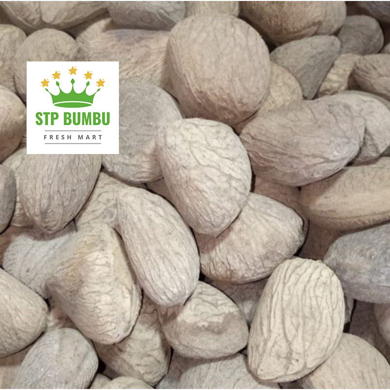 Harga Pucung Keluwek Terbaru Juli 2021 | BigGo Indonesia