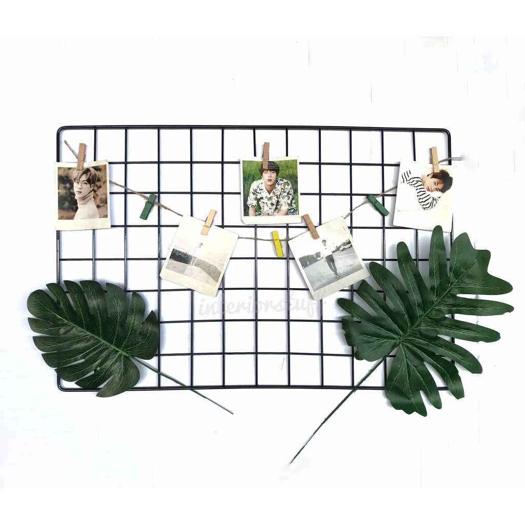 PAKET HIJANG DAN DAUN MONSTERA DEKORASI KAMAR MINIMALIS MONSTERA LEAF