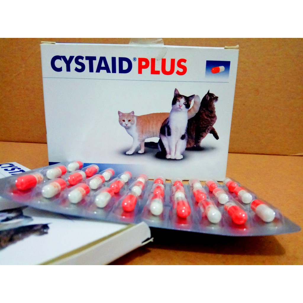 CYSTAID PLUS harga Per kapsul ( Obat Untuk Masalah Saluran Kencing Pada  Kucing) | Shopee Indonesia