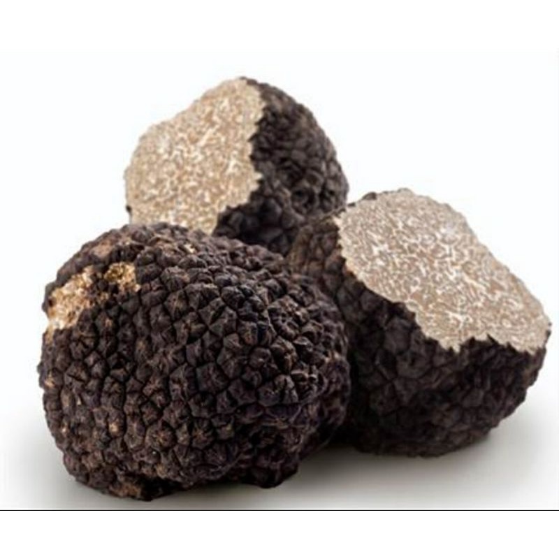 Jual Fresh Italian Whole Black Truffle Jamur Hitam Truffle Italy