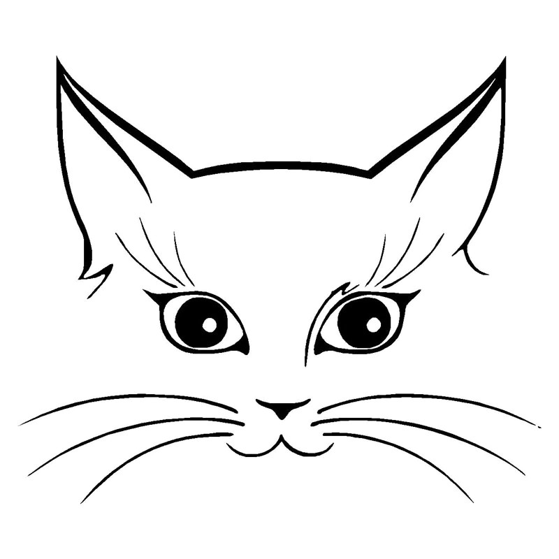 Jual 14*12 Cm Lucu Kucing Wajah Vinyl Sticker Mobil Styling Stiker Jendela Kaca Dekoratif Aksesoris Indonesia|Shopee Indonesia 800_X_800_jpg