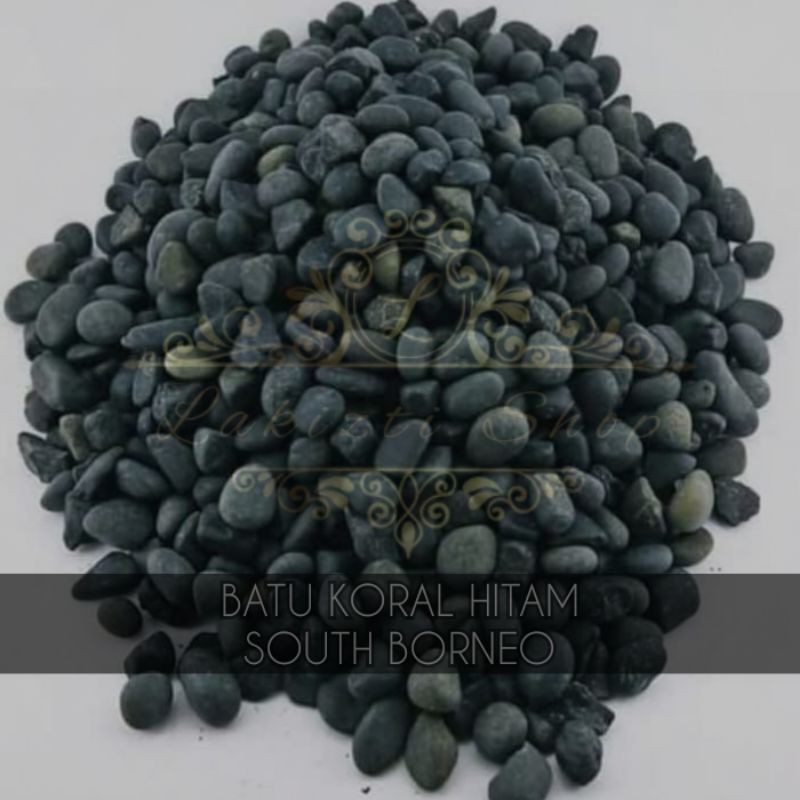 Batu Koral Hitam / Batu Hias Tanaman Aquarium Taman / Kerikil Hitam |  Shopee Indonesia