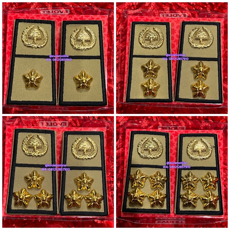 Jual pangkat ASN PNS BENGKULU golongan 4A 4B 4C 4D evolet exclusive