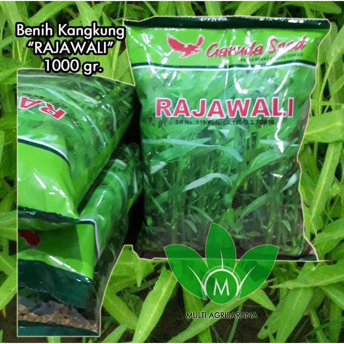 Harga Bibit Bayam Dan Kangkung BIBIT TAMAN