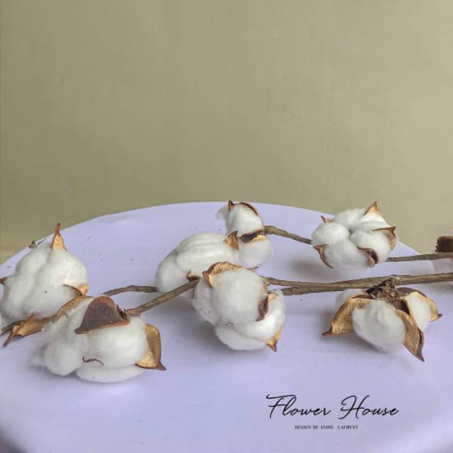 Jual Artificial Cotton Flower / Bunga Kapas Artificial x10 Shopee Indonesia