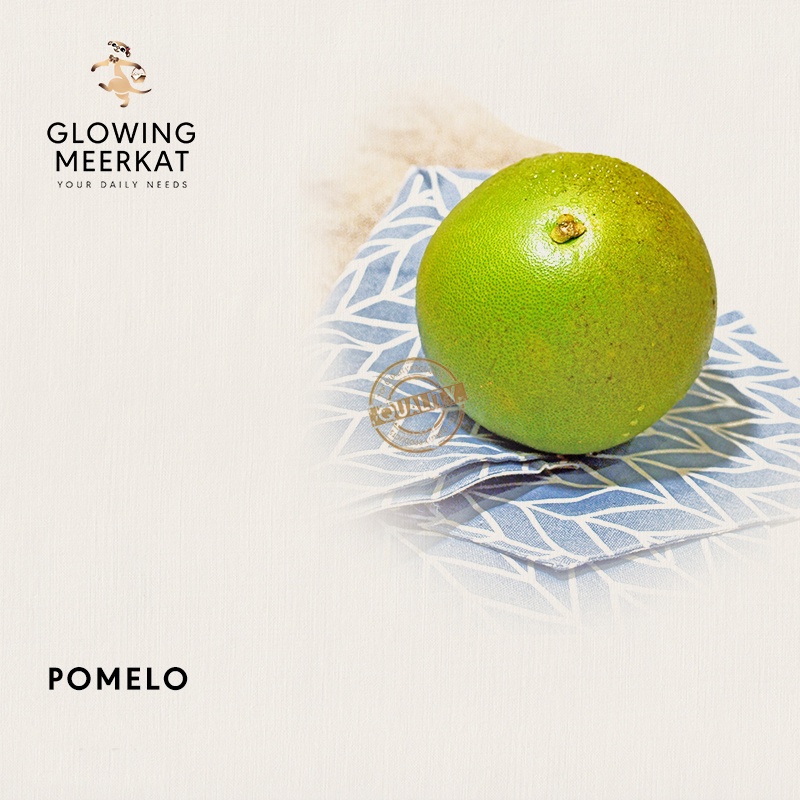 Jual Jeruk Bali Pomelo Indonesia