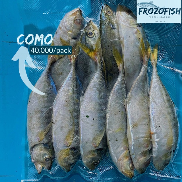 Ikan KEMBUNG COMO FROZEN (beku kapal) | Shopee Indonesia