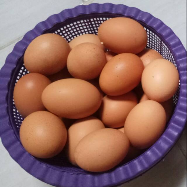 Jual Telur Ayam Negeri Murah, Cangkang Coklat | Shopee Indonesia