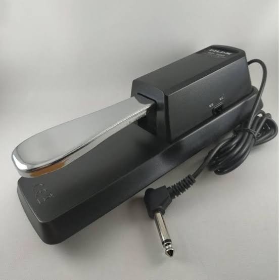 Jual NUX SP100 SUSTAIN PEDAL KEYBOARD / SWITCH PEDAL KEYBOARD Shopee