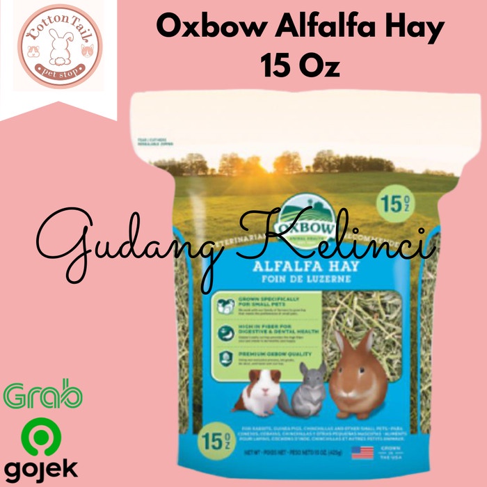 Jual Oxbow alfalfa hay 15oz Makanan Kelinci / Guinea Pig Shopee Indonesia