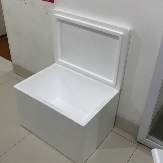 *HANYA DISERTAI DENGAN PEMBELIAN ES KRIM* Box styrofoam Ukuran besar
