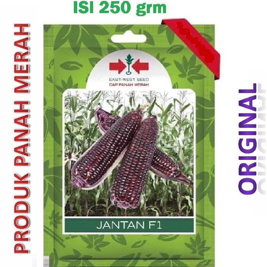 Benih Jagung Ungu Jantan F1 Isi 250 Gram - Cap Panah Merah | Shopee  Indonesia