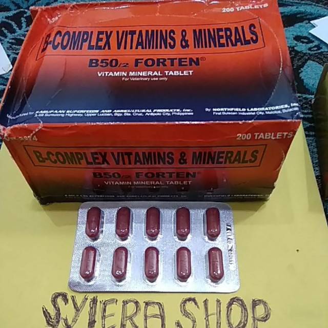 Jual B-Complex Vitamin B-50 Forten | Shopee Indonesia