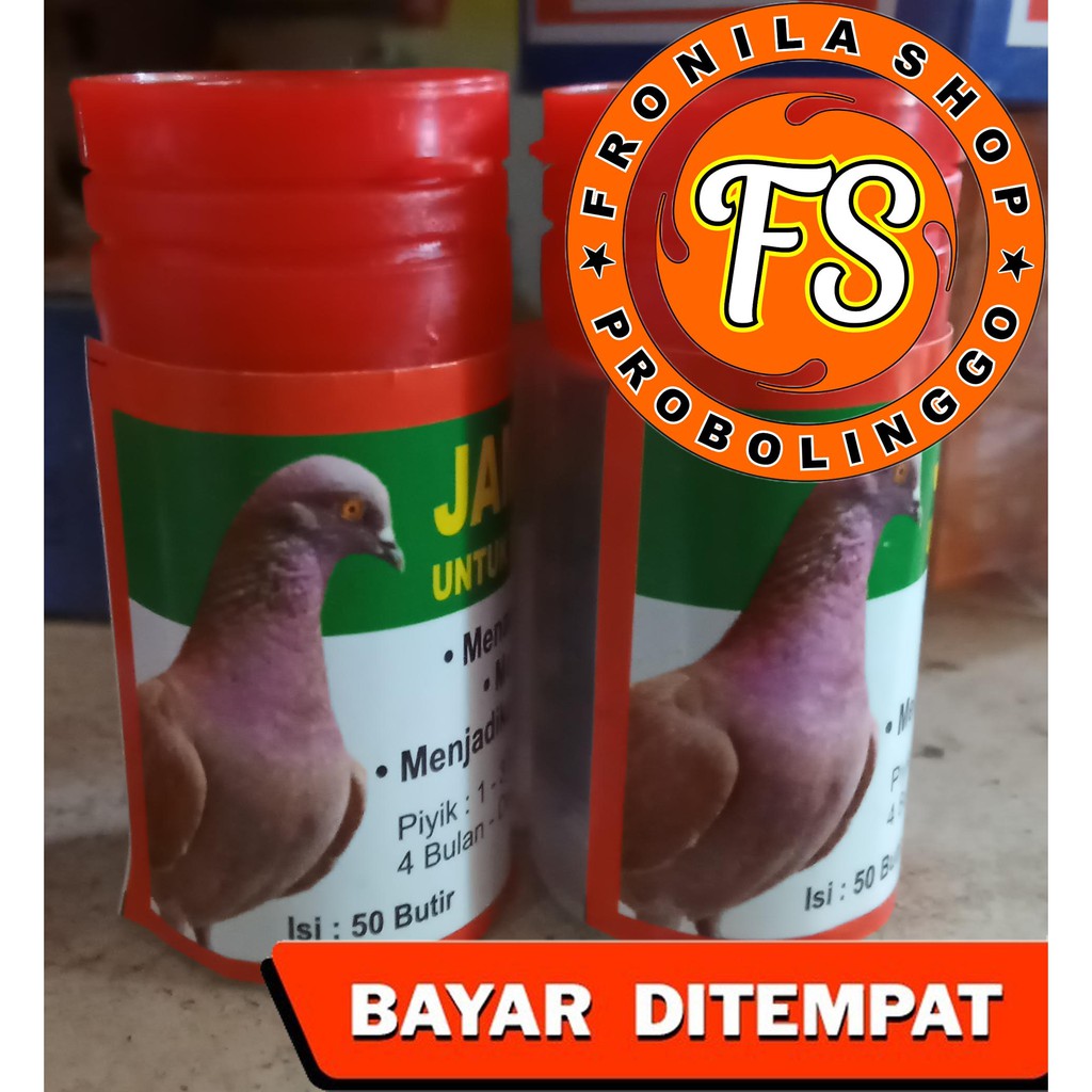 Jual Pil Merpati Balap Dan Burung Derkuku Jamu Stamina Burung Merpati | Shopee Indonesia
