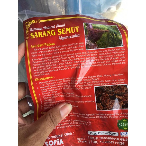 Jual Sarang Semut Asli Papua Limited Indonesia|Shopee Indonesia