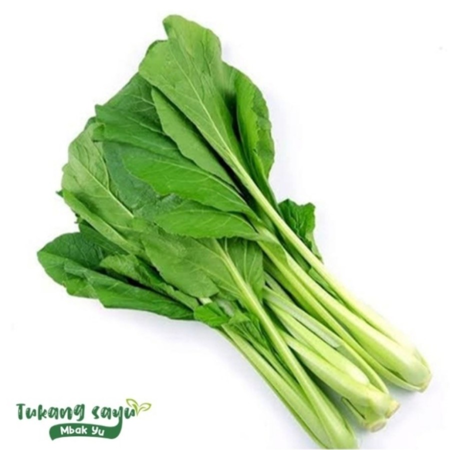 Harga caisim 1kg Terbaru Nov 2025 BigGo Indonesia