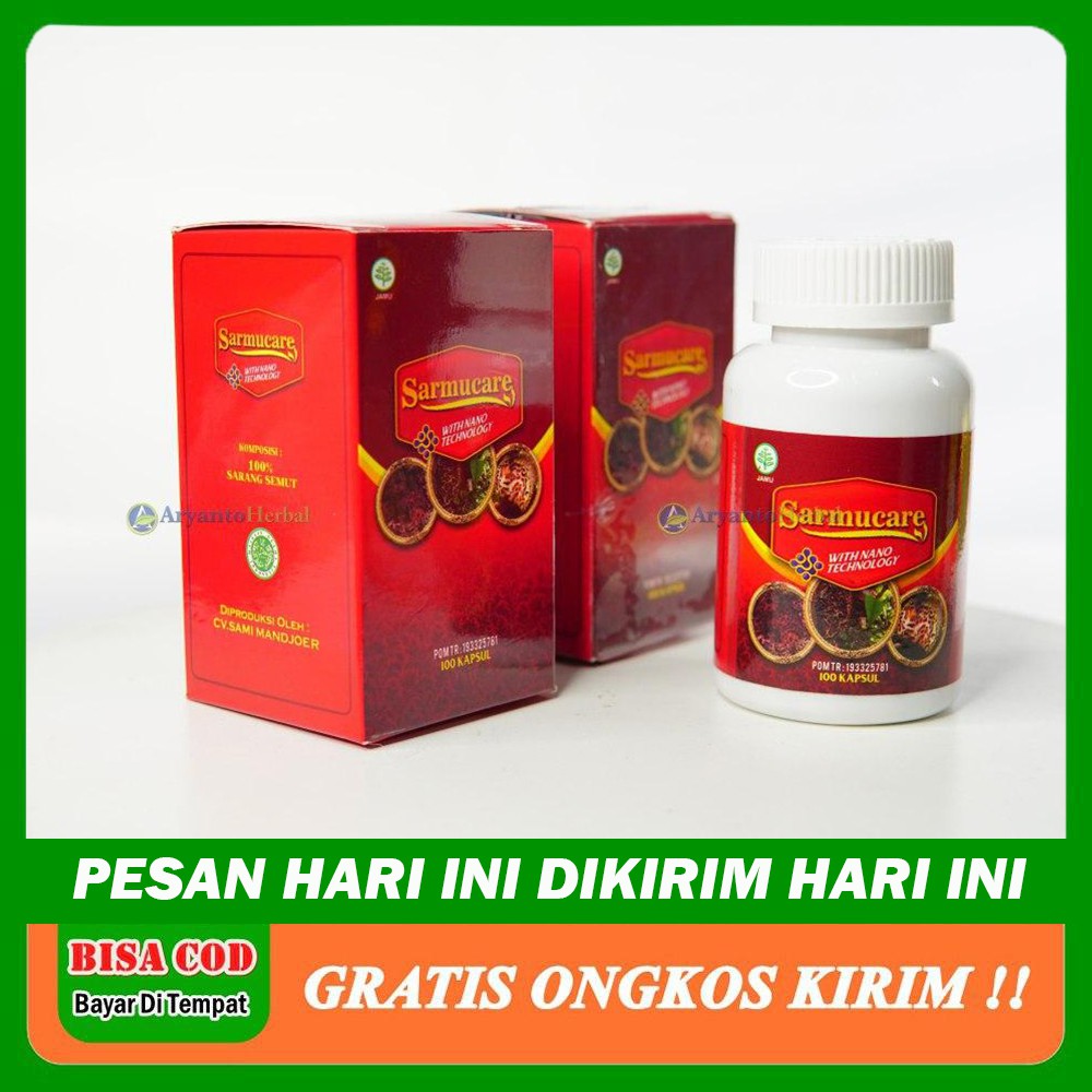 Sarmucare Sarang Semut Asli Papua With Nano Technology