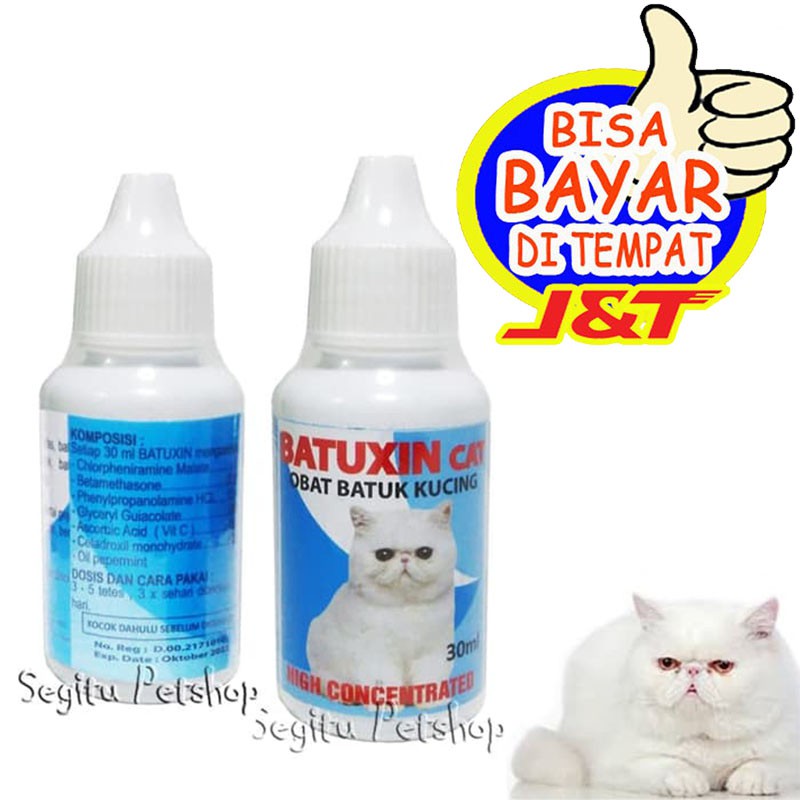 9 spray halau kucing berak Ubat serangga halau