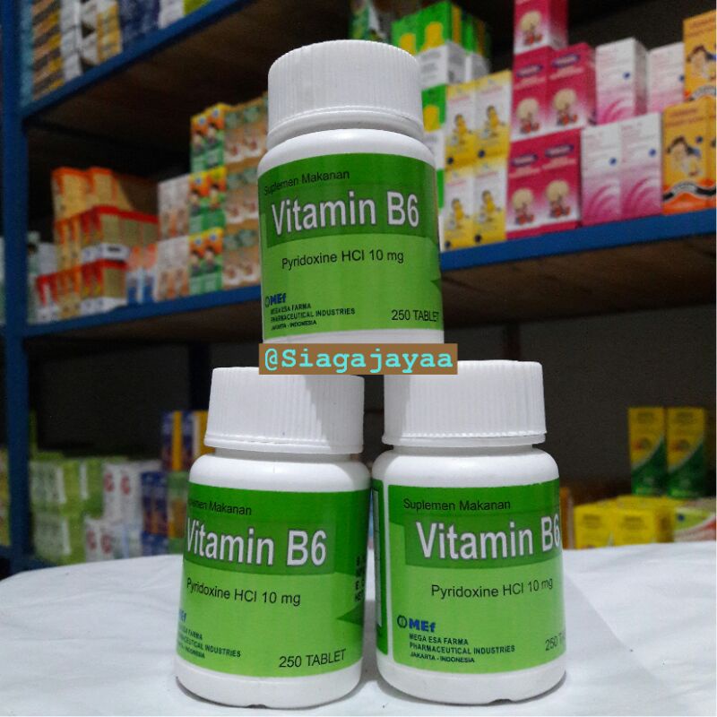 Jual Vitamin B6 10mg Pot 250 Tablet Shopee Indonesia