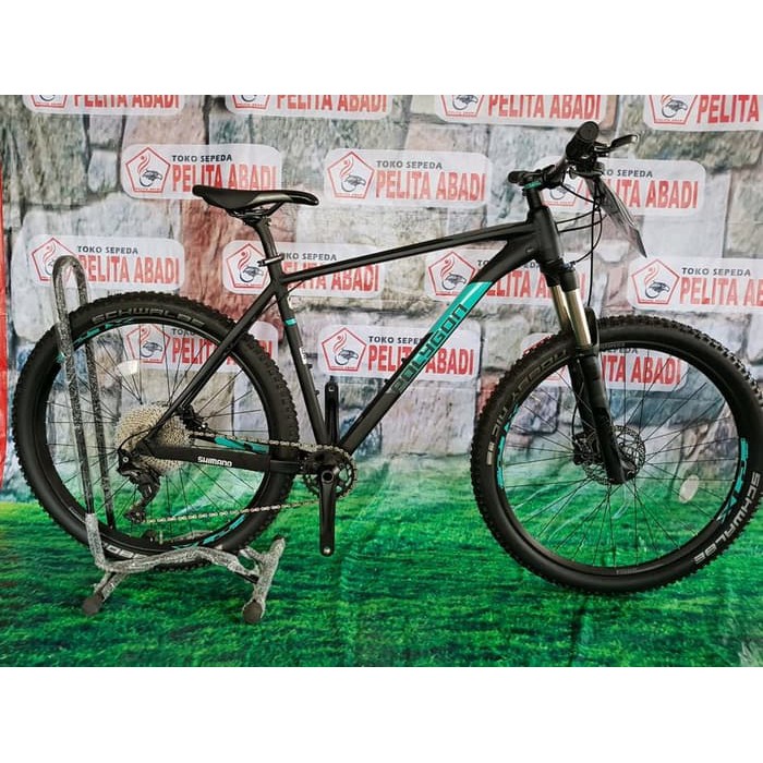 Sepeda Polygon Wanita 2020 Trend Sepeda