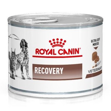 Jual Royal Canin Recovery 195 Gr - Makanan Kucing / Anjing Dalam Proses Penyembuhan | Shopee Indonesia