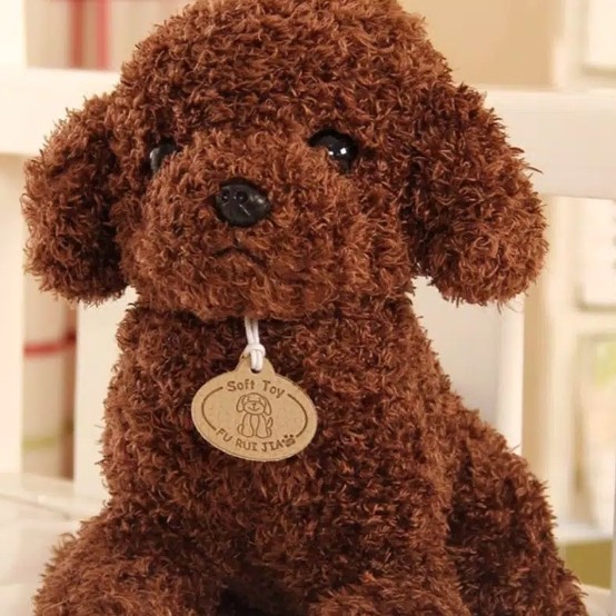 Jual Boneka Toy Poodle Pudel Bahan Lembut - Coklat Muda | Shopee Indonesia