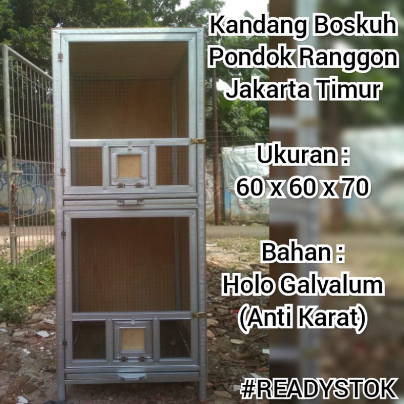 Jual Kandang Merpati 2 Pintu Ukuran 60X60X70 | Shopee Indonesia