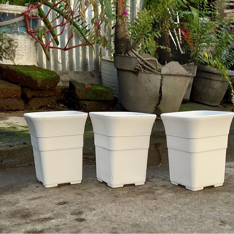 blomkrukor utomhus Jual Pot Kotak Sofi 10 Warna Putih Vas Cactus Berlubang Tebal Indonesia|Shopee Indonesia
