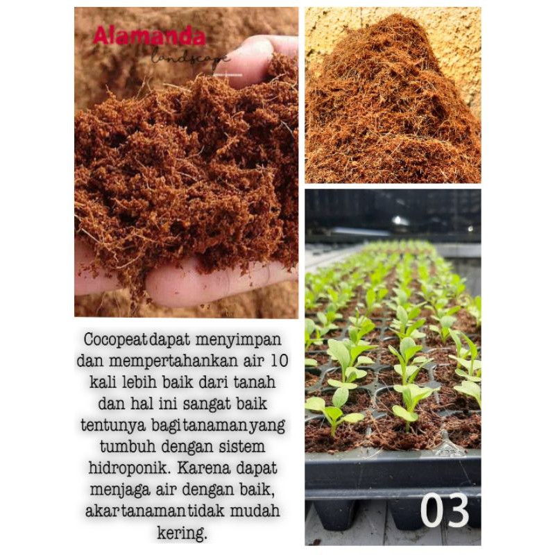 Jual Cocopeat, Media tanam unggulan, cocopeat 1kg, Sabut kelapa halus untuk  media tanam Indonesia|Shopee Indonesia
