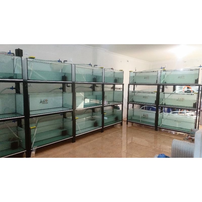 Jual PAKET AQUARIUM 100X40X40+RAK HOLO 3 SUSUN UKURAN 100X40 TINGGI