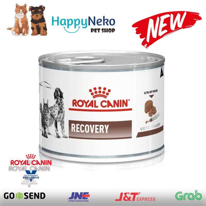 Jual Royal Canin Recovery - 195 Gr Makanan Pada Saat Anjing Kucing Sakit | Shopee Indonesia