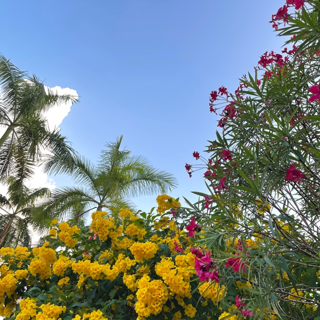 Jual Chamstory Ugeoji Galbitang 500Gr Sup Daging Sapi Dengan Kubis Korea Indonesia|Shopee Indonesia