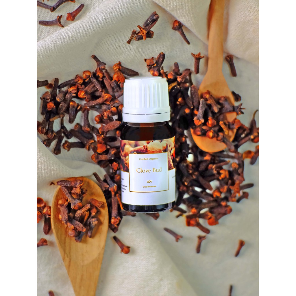 Clove Bud Essential Oil Minyak Cengkeh Obat Sakit Gigi Alami Shopee