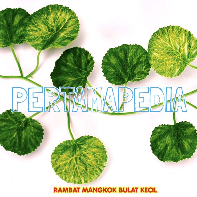 SATUAN RAMBAT KECIL/Daun Rambat Plastik/Bunga Plastik/Rumput Plastik