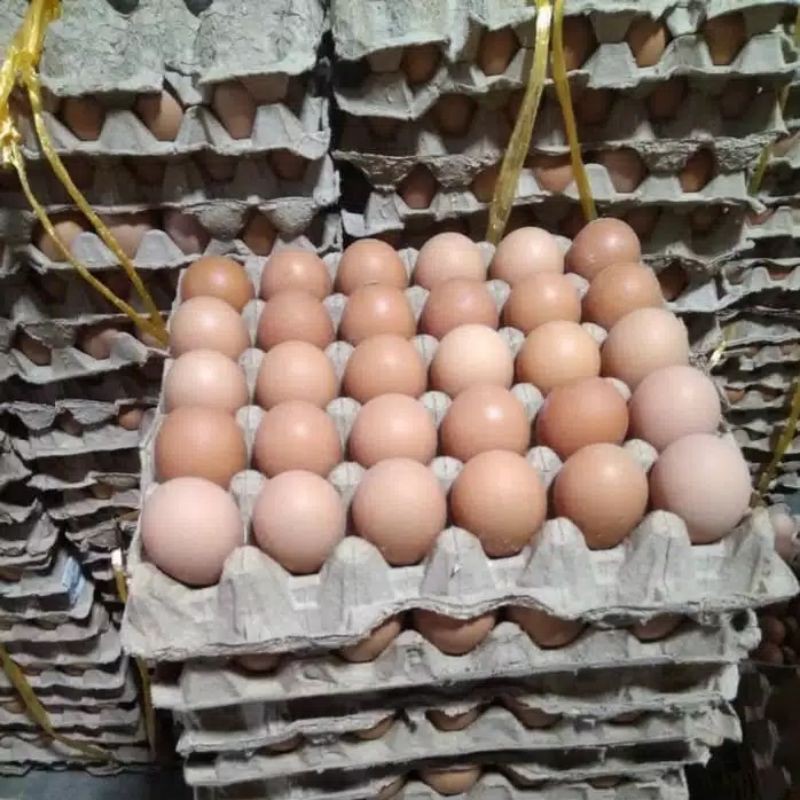 1 kg telur ayam isi berapa butir Wanda Black