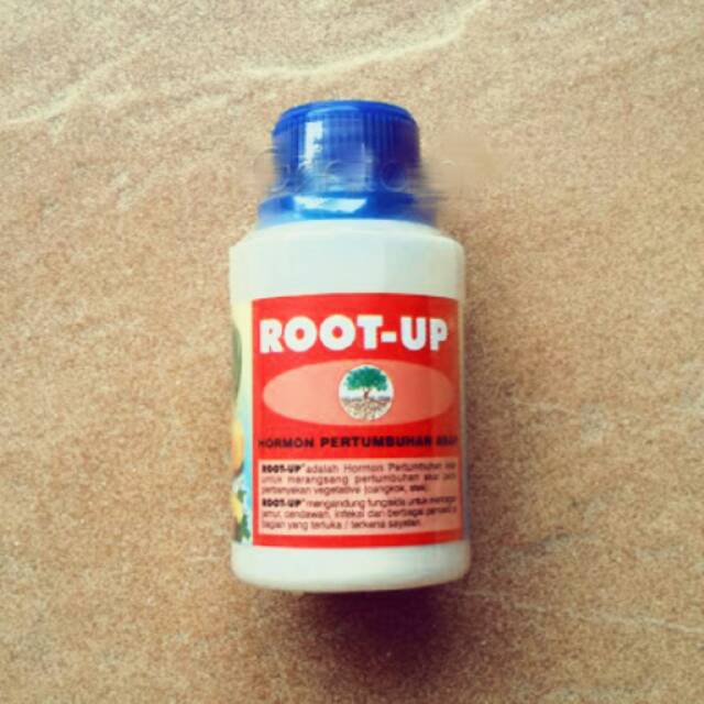 Root Up Hormon Penumbuh Akar 100gr | Shopee Indonesia