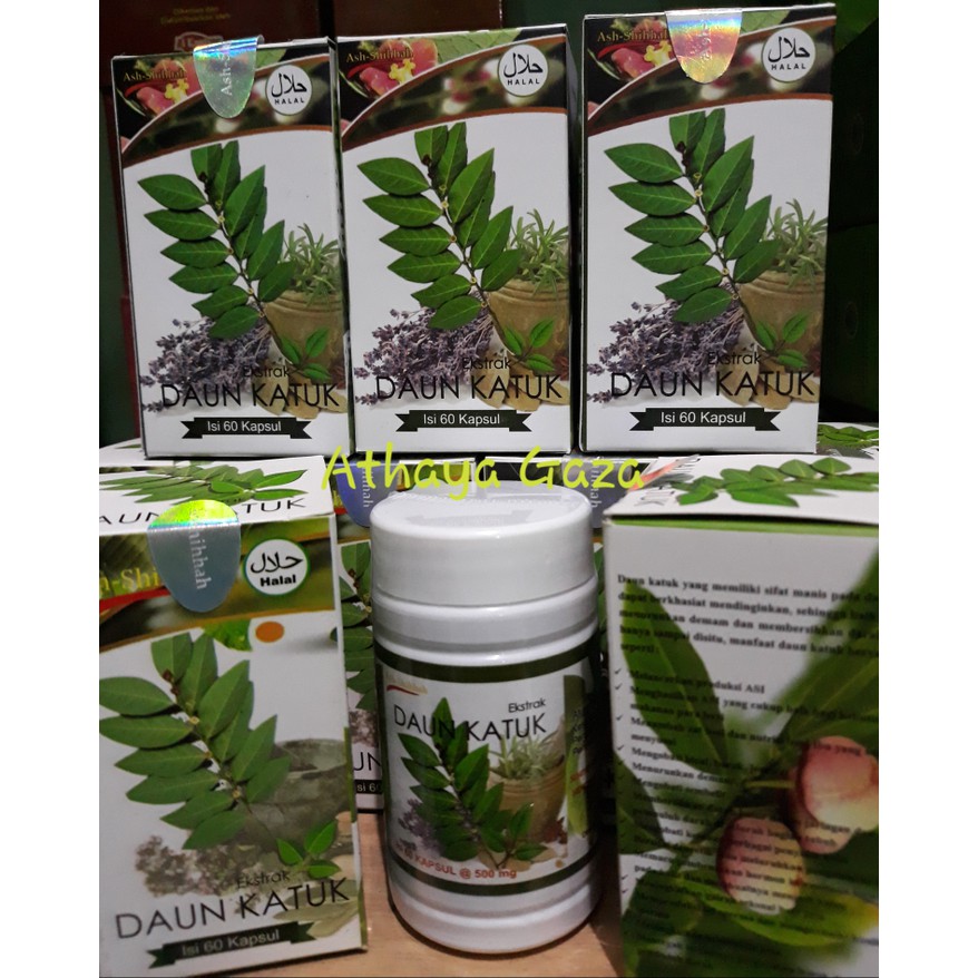 18++ Gambar Daun Kelor Dan Daun Katuk Cari Gambar Keren HD